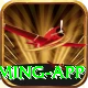 Winli Slots VIP Gaming App